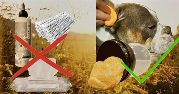 Vergleich : herkömmliche Ohrreinigung versus Ohrreiniger Clumpy Clean- sanft und effektiv für ihr Haustier